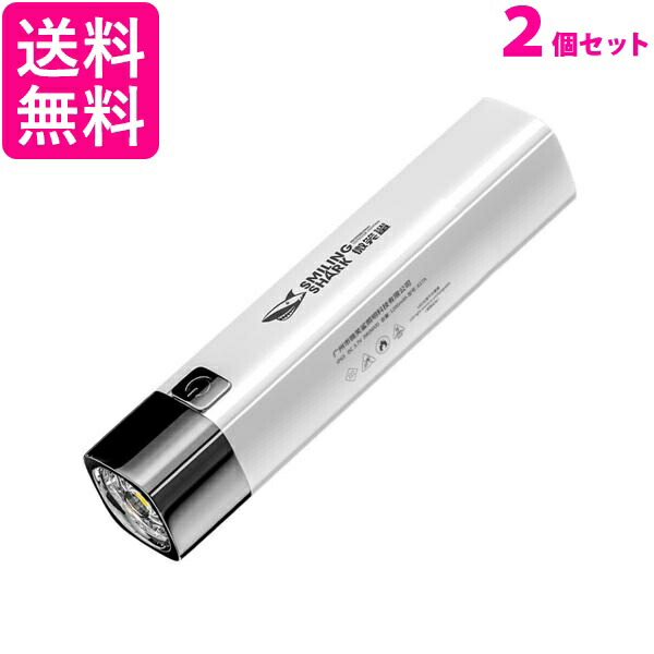 楽天市場】ペンライト LED コンパクト 軽量 小型 充電式 USB 明るい 懐中電灯 防災 シルバー (管理C) 送料無料 : Pay Off  Store