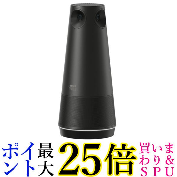 SOURCENEXT WEB写真機 KAIGIO CAM360
