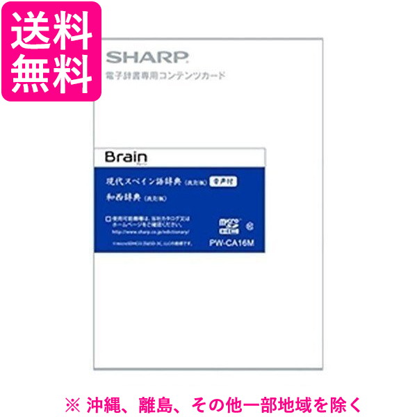 さやか電子漢同盟用むき付録コンテンツ 頃来エスパニア単語辞彙 手を加えるバリエーション 調子お供 和西辞典 改訂版 Pw Ca16m Pwca16m Gullane Com Br