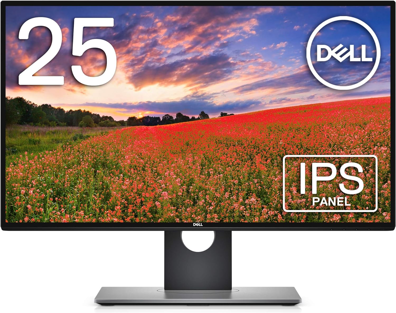 Dell モニター 25インチ U2518D(フレームレス/Dell HDR/WQHD/IPS非光沢/ブルーライト軽減/フリッカーフリー/DP,mDP,HDMI/高さ調整/回転) 中古モニター 送料無料3か月保証付き