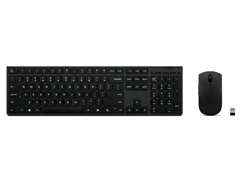 【貨物輸送無料】レノボ・ジャパン 4X31R64316 Lenovo 職業的 無線電話 申し受ける式 鍵盤＆二十日鼠 - 英語【店卸し資産準拠集団:少しの】 マウス・キーボード・入力機器-パソコン・周辺機器