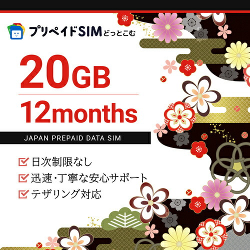 【送料無料】 モバイル・プランニング 20211117-23100 プリペイドSIM 月間20GB 最大12ヶ月 ドコモ 【在庫目安:お取り寄せ】