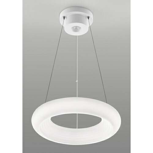 【貨物輸送無料】東芝 NLEP08000A-LC LED最高限度ともし火 8畳【店卸し資産引き合い:お取り寄せ】