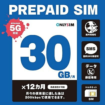 【貨物輸送無料】可動性・計画すること 202306013012 プリペイドSIM 毎月30GB 初月＋12ヶ月 SMS傍受可【店卸し資産引き合い:お取り寄せ】