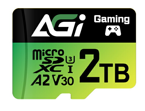 【貨物輸送無料】AGI AGI2T0G2CTF138 Supreme Pro TF138 Micro SDXC 2結核症 UHS-I U3 V30 A2 R/ W up to 170/ 160MB/ s SD記憶装置歌留多取り替えっこアダプター、Type-C Reader付【店卸し資産準拠集団:お取り寄せ】
