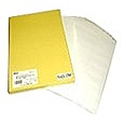 【貨物輸送無料】アイニックス PLW12-206W ポリエステルラベルシート【店卸し資産準拠集団:お取り寄せ】| 付け紙 印判 居敷き 印判刷り上げる 印刷人 自作 ラベル・ステッカー-日用品雑貨・文房具・手芸