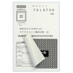 【送料無料】 東洋印刷 PPE-2 目隠しラベル(地紋入り)貼り直しができるタイプ(1ケース1000シート) 【在庫目安:お取り寄せ】| ラベル シール シート シール印刷 プリンタ 自作