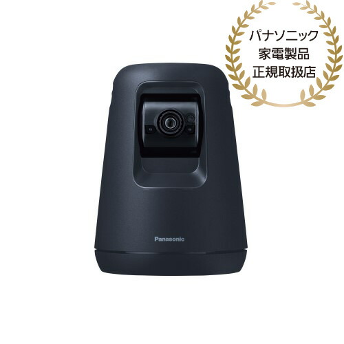 【貨物輸送無料】Panasonic KX-HDN215-K 固定ディスク愛玩動物写真機 （黒いこと）【店卸し資産準拠集団:お取り寄せ】