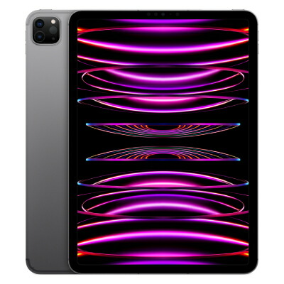 【第4時人】 iPad Pro 11in Wi-Fi 512GB 空白文字薄墨色 MNXH3J/A A2759  Apple 当社３ヶ月間引き受ける 中古 イオシス