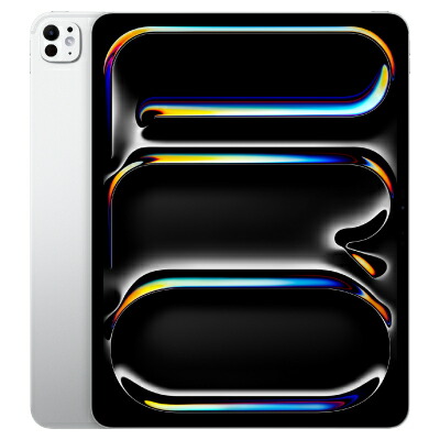 【第1時人】 iPad Pro(M4) 13in Wi-Fi+Cellular 256GB しろがね色 MVXT3J/A A2926 【国内版SIM無償性】  Apple 当社３ヶ月間引きうける 中古 イオシス
