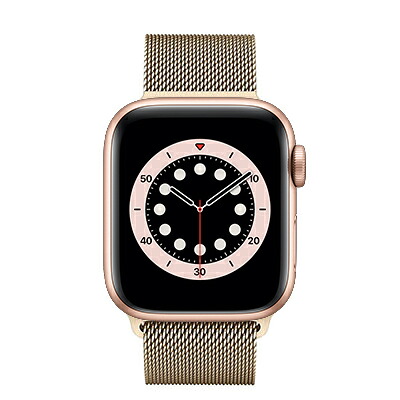 Apple Apple Watch Series6 40粍 GPS模範例 MG193J/A+MYAM2FE/A A2291【ゴールドアルミニウムケース/ゴールドミラネーゼループ】 [中古] 【当社３ヶ月間引き受ける】 イオシス