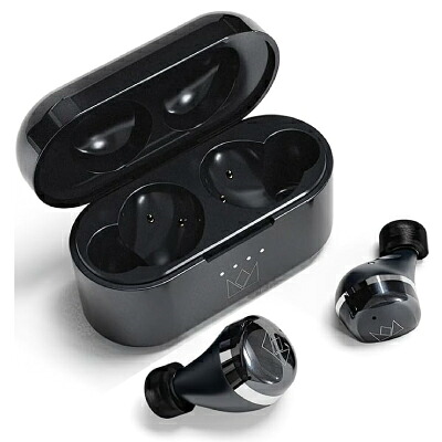 Noble Audio Noble Audio FALCON MAX 黒いこと NOB-FALCONMAX-B [中古] 【当社３ヶ月間引き受ける】 イオシス
