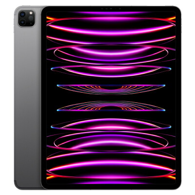 【第6時人】 iPad Pro 12.9in Wi-Fi+Cellular 256GB 間隔文字薄墨色 MP203J/A A2437 【docomo版SIM無償性】  Apple 当社３ヶ月間引きうける 中古 イオシス