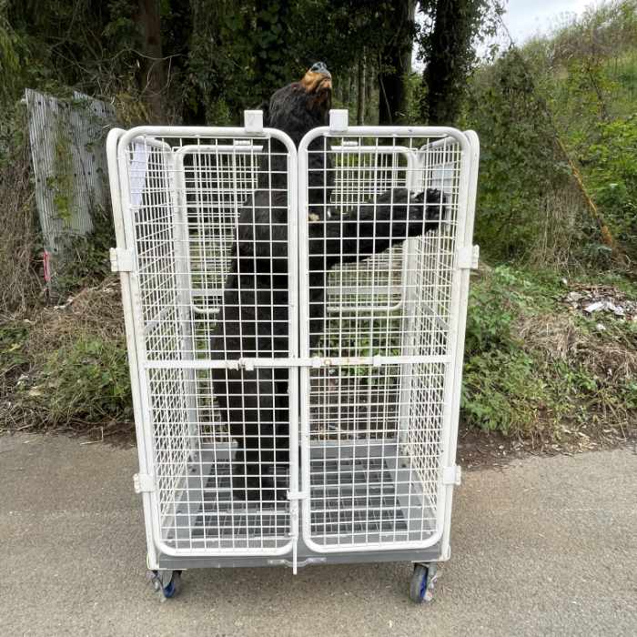 中古｜熊のモニュメント 動物のモニュメント 建造物｜動産王｜千葉｜引取｜送料別