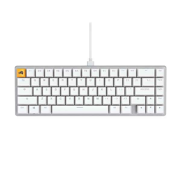 Glorious GMMK 2 65% (Pre-Built) - White 65%パウダーコンパクト鍵盤 白いこと｜GLO-GMMK2-65-FOX-W