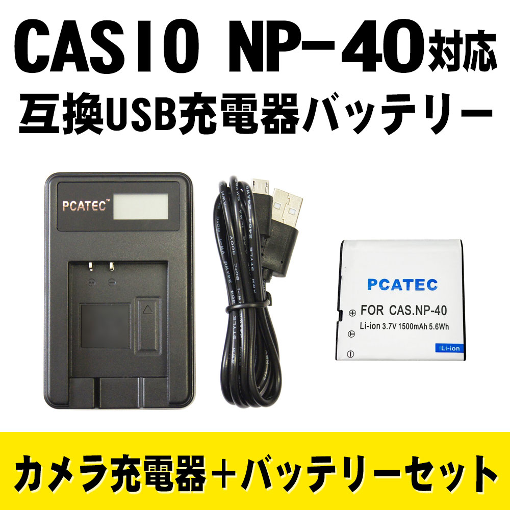 当店一番人気 NinoLite USB型 バッテリー 用 充電器 海外用交換プラグ付
