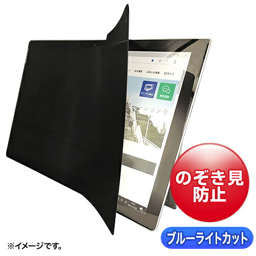 【送料無料】 サンワサプライ LCD-ZE2LN105IPADP 2WAY覗き見防止フィルム（iPad Pro 10.5インチ対応） 【在庫目安:お取り寄せ】