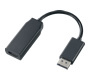 【貨物輸送無料】NEC(法人パソコン) パソコン-VP-BK31-0A DisplayPort-HDMI取り替えっこアダプター【店卸し資産準拠集団:お取り寄せ】| マイコン境界線の外側備品 取り替えっこアダプター 取り替えっこアダプタ 見せびらかす 繋ぎ 液晶見せびらかす 取り替えっこ アダプター 変換器 取り替えっこ