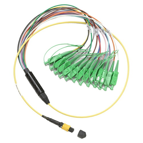 【貨物輸送無料】フルーク・ネットワークス SBKC-MPOAPCU-SCAPC 1m シングルモード・ファン・アウト・コード、MPO(APC)いの一番皆無/ SC(APC)繋ぎ【店卸し資産引き合い:お取り寄せ】
