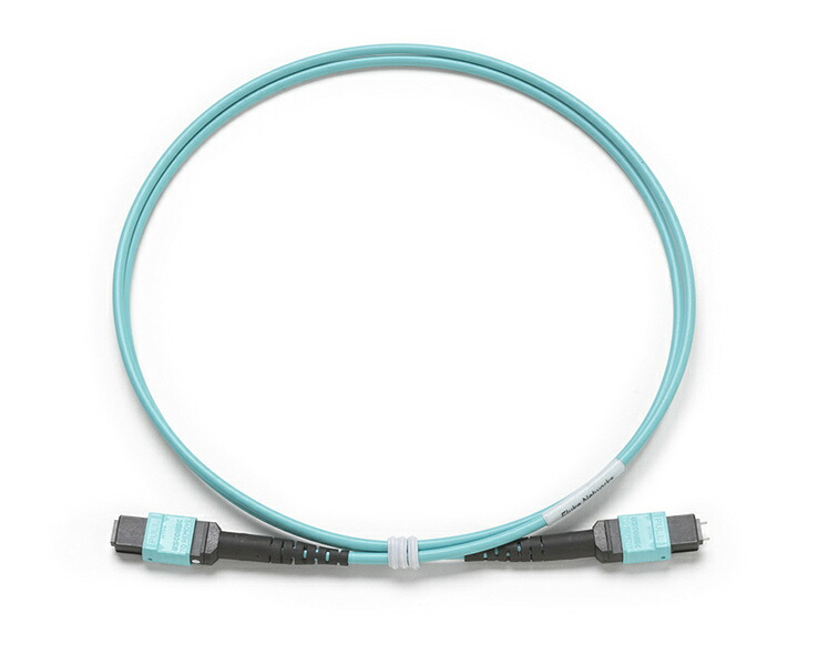 【送料無料】 フルーク・ネットワークス TRC-MPO-UP-B 1m テスト・コード MPO/ MPO、ピン無し/ ピン有り、タイプB 極性 【在庫目安:お取り寄せ】