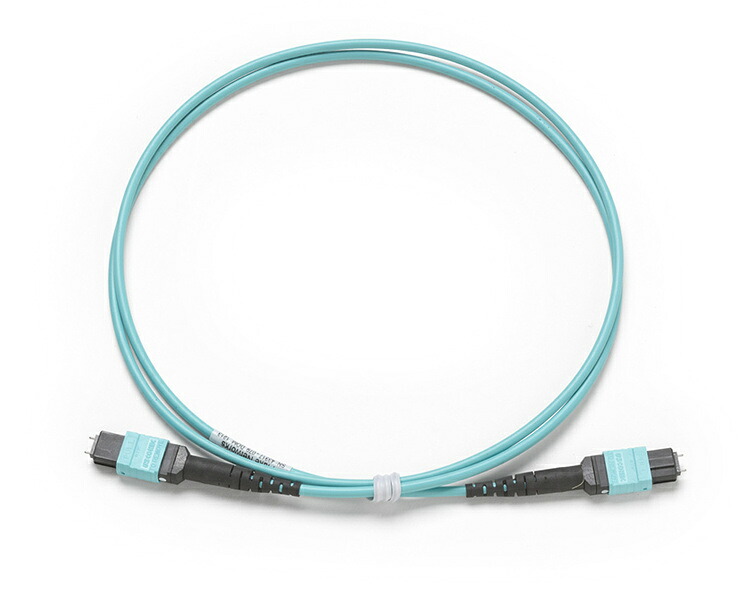 【送料無料】 フルーク・ネットワークス TRC-MPO-PP-B 1m テスト・コード MPO/ MPO、ピン有り/ ピン有り、タイプB 極性 【在庫目安:お取り寄せ】