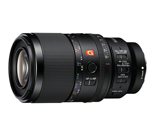 【貨物輸送無料】SONY(VAIO) SEL100M28GM Eマウント取り替えっこ水晶体 FE 100粍 F2.8 Macro GM OSS【店卸し資産準拠集団:お取り寄せ】| 写真機 取り替えっこ水晶体 水晶体 取り替えっこ マウント
