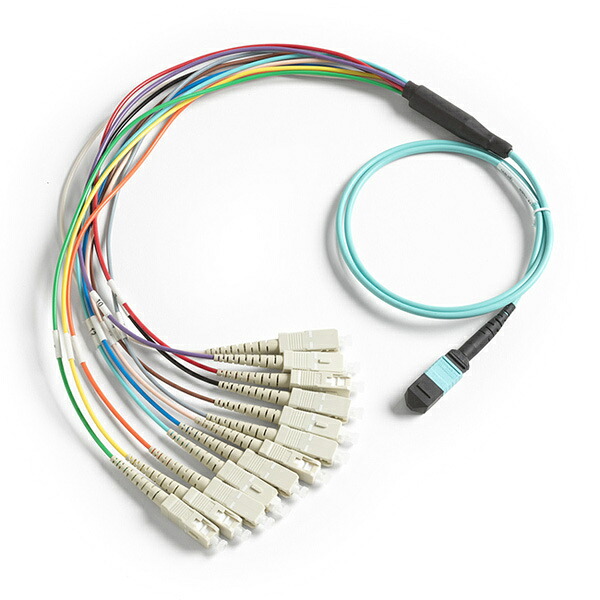 【貨物輸送無料】フルーク・ネットワークス BKC-MPO-USC 1m ブレイクアウト・コード、MPOいの一番皆無/ SC繋ぎ用【店卸し資産引き合い:お取り寄せ】