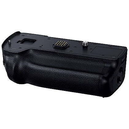 【貨物輸送無料】Panasonic DMW-BGGH5 乾電池手持ち部分【店卸し資産準拠集団:お取り寄せ】