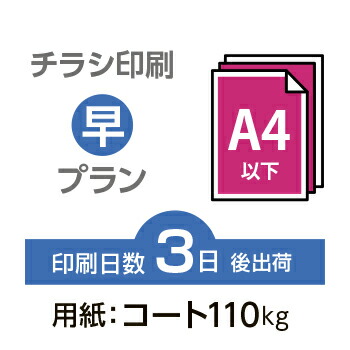 3500枚 チラシプリント 大いさ B5 変相可 オーバー110kg 3日日後々さし出し 両面ぱんぱん色彩 マスタ 知識入稿 オフセット印刷 Lisaproject Eu