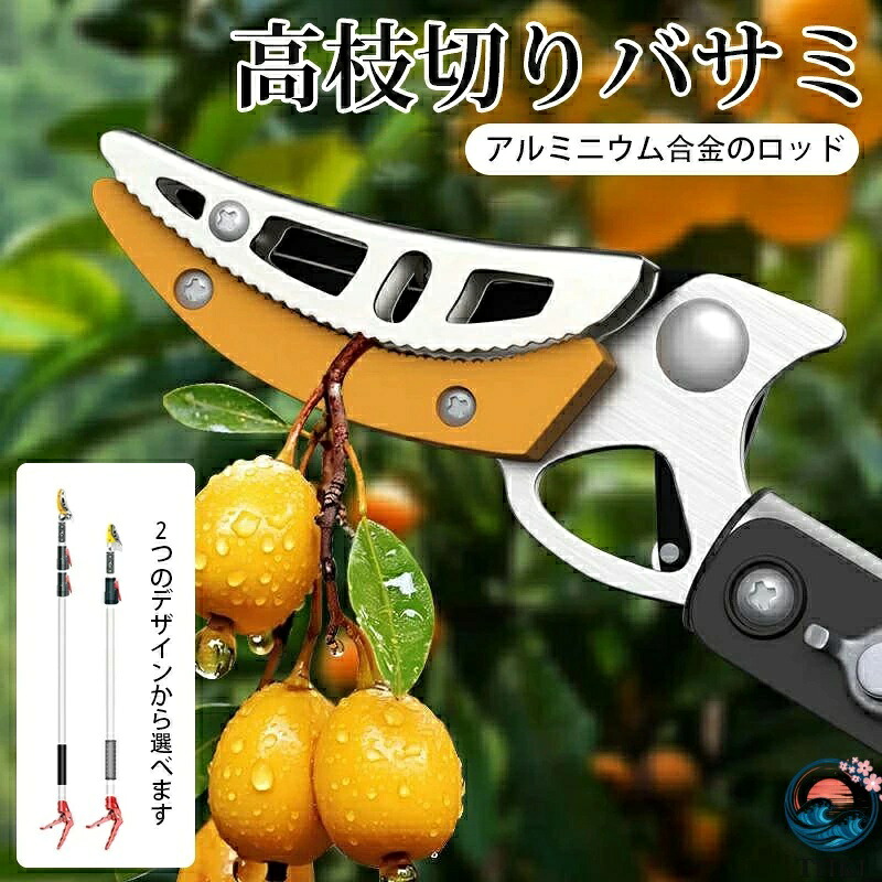 【全品5%尖んがり】高枝切りバサミ 伸縮式 鋸付き添い人 園芸切り調える用 高さ太枝切りおとす相応う全能園芸鋏