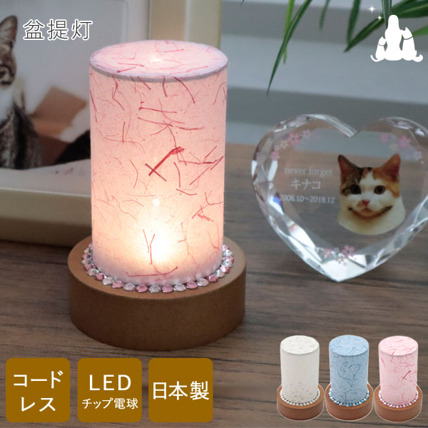 愛玩動物  御盆 提燈 盆提燈  虹彩 花ショウブ ミニサイズ コードレス LED 新盆 御盆 提燈 今めかしい 今めかしい 愛くるしい 愛玩動物提燈 御盆 お献金