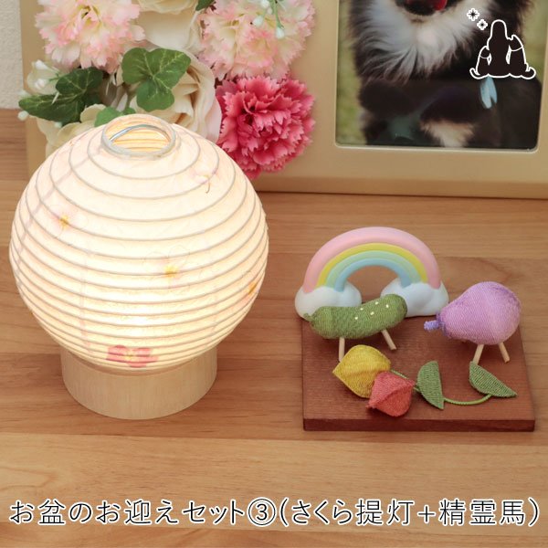 【文芸批評排他的権利あり】愛玩動物 御盆お迎え仕掛ける   さくら盆提燈＆淡彩ちりめん心霊馬＆虹の飾りつけ 御盆飾りつけ 御盆備品 御盆仕掛ける