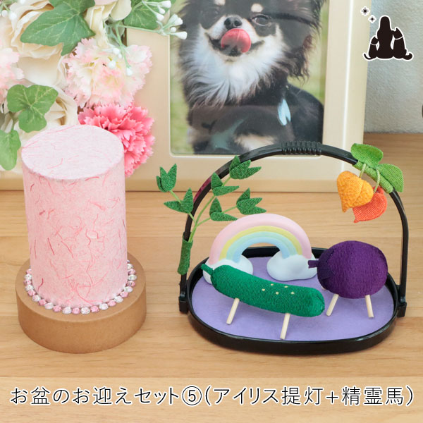 【レビュー特典あり】ペット お盆お迎えセット アイリス盆提灯＆かご入り精霊馬＆虹の置物 お盆飾り お盆用品 お盆セット｜ペット仏壇仏具ピースフリー