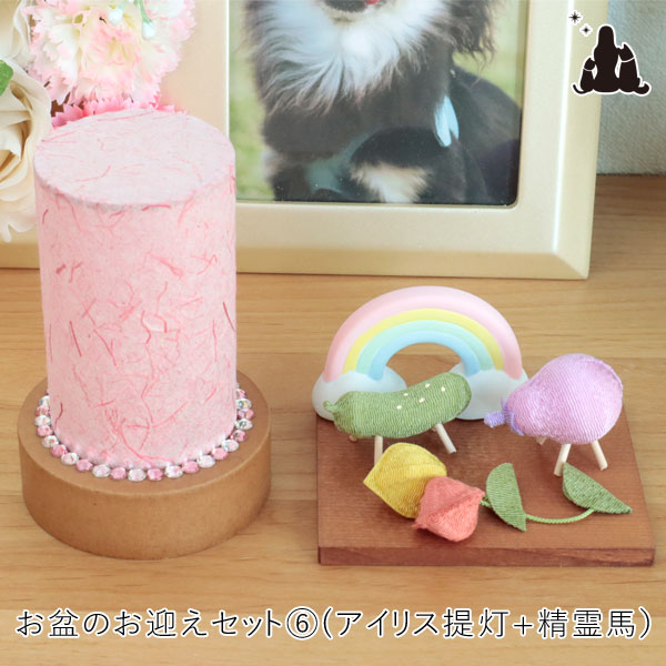 【文芸批評排他的権利あり】愛玩動物 御盆お迎え仕掛ける   花ショウブ盆提燈＆淡彩心霊馬＆虹の飾りつけ 御盆飾りつけ 御盆備品 御盆仕掛ける  猫 犬 御盆 お供物