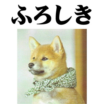 ふろしき M