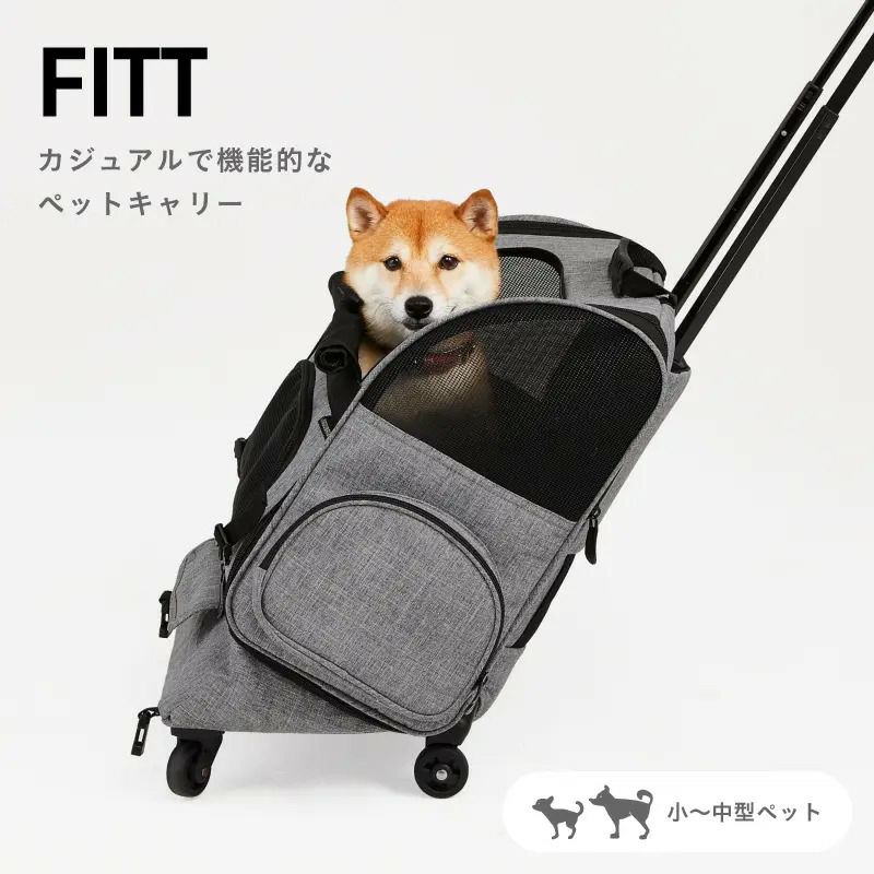 【AIRBUGGY】 エアバギー 相応う[製造会社引き請ける付き添い人]