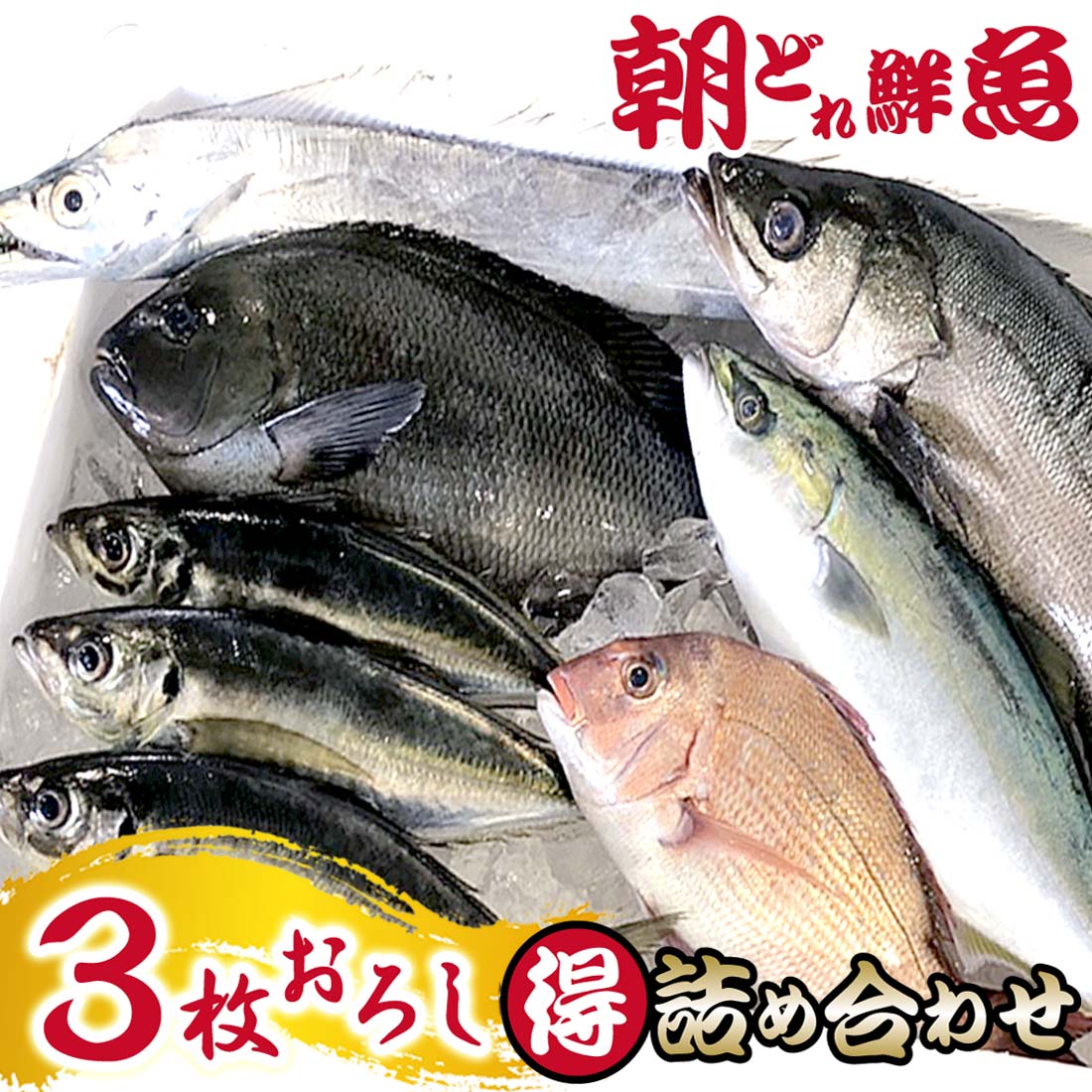 【楽天市場】鮮魚セット 丸ごと 5〜6種類 詰め合わせ 『 三浦半島 