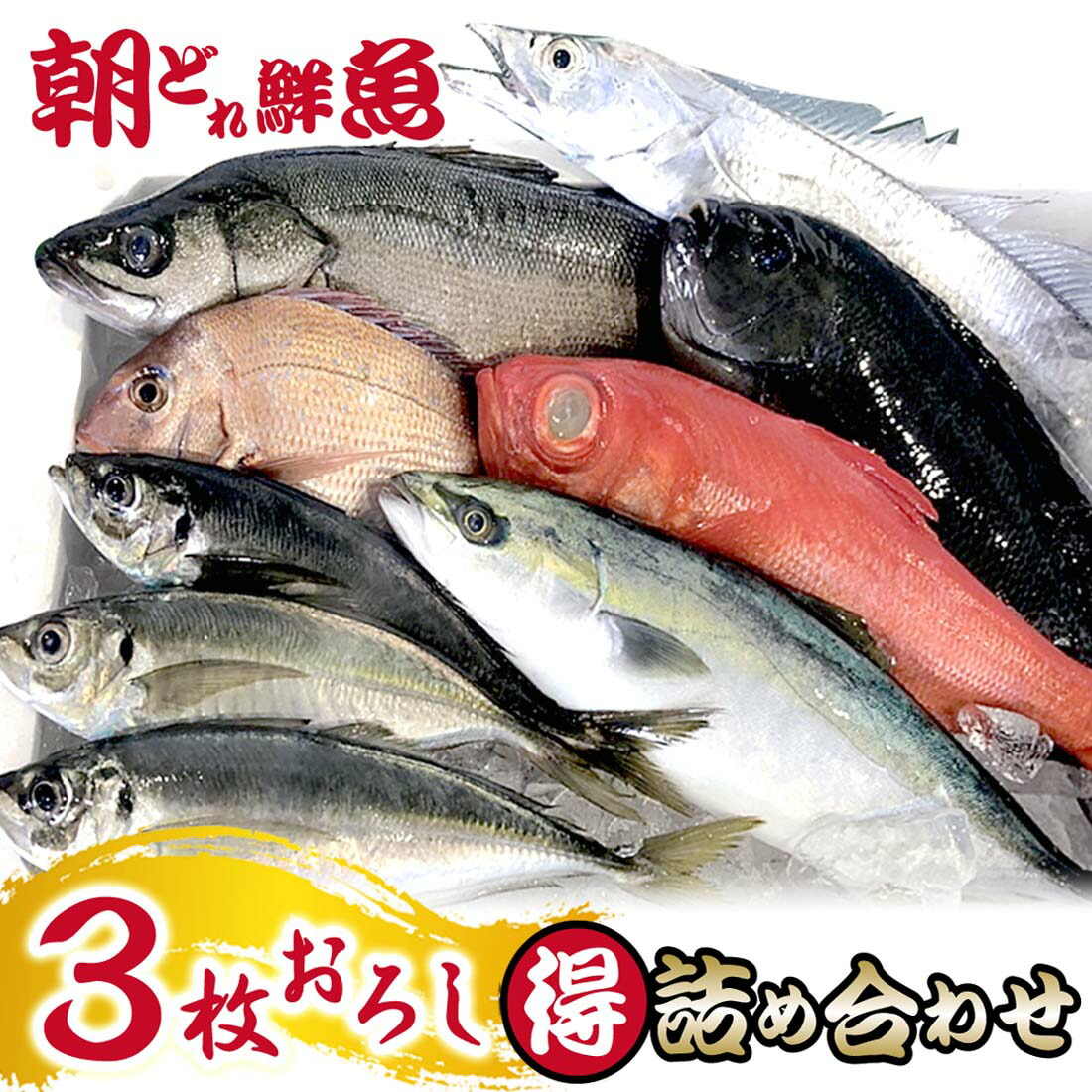 楽天市場】魚 まるごと 7種類以上 詰め合わせ 鮮魚セット 『 三浦半島 産地直送 朝獲れ ぷれみあむコース 』 下処理なし 地魚 海の幸 活魚  新鮮生魚 【 送料無料 】 早鈴直売所 : ピーチシルバー