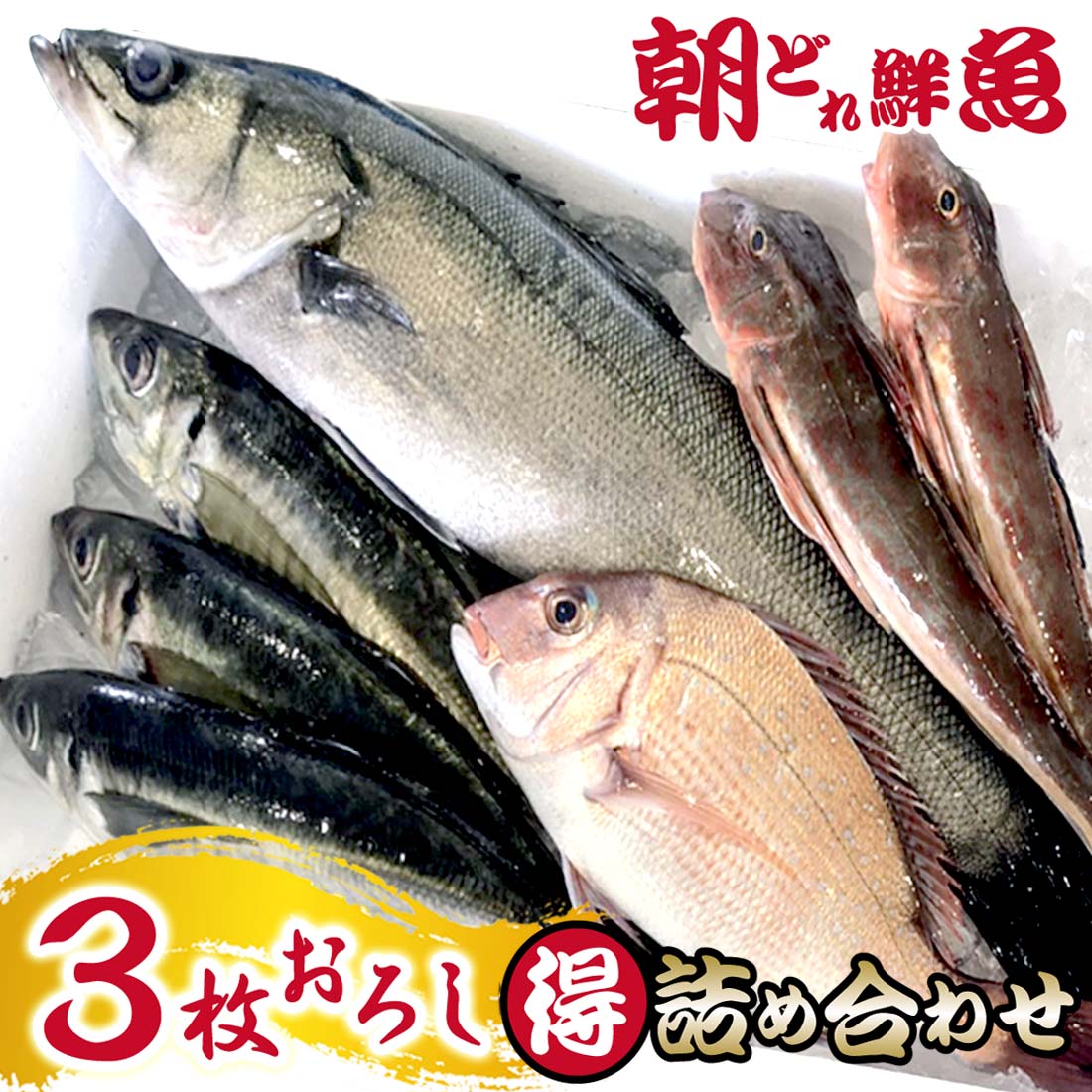 【楽天市場】鮮魚セット まるごと 3〜4種類 詰め合わせ 『 三浦半島 産地直送 朝獲れ すたんだあどコース 』 下処理なし 鮮魚ボックス 新鮮 地魚  生魚 刺身 【 送料無料 】 早鈴直売所 : ピーチシルバー