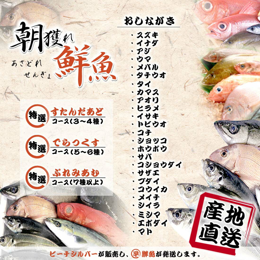 楽天市場 送料無料 三浦半島 産地直送 鮮魚セット 国産 鮮魚 詰め合わせ お試し 天然 朝獲れ 特選 ぷれみあむ セット 7種類以上魚 直送 丸ごと 魚セット 下処理なし 海鮮 詰め合せ 生魚 活魚 魚介類 刺身 寿司 業務用 お取り寄せグルメ 高級食材 詰め合わせ