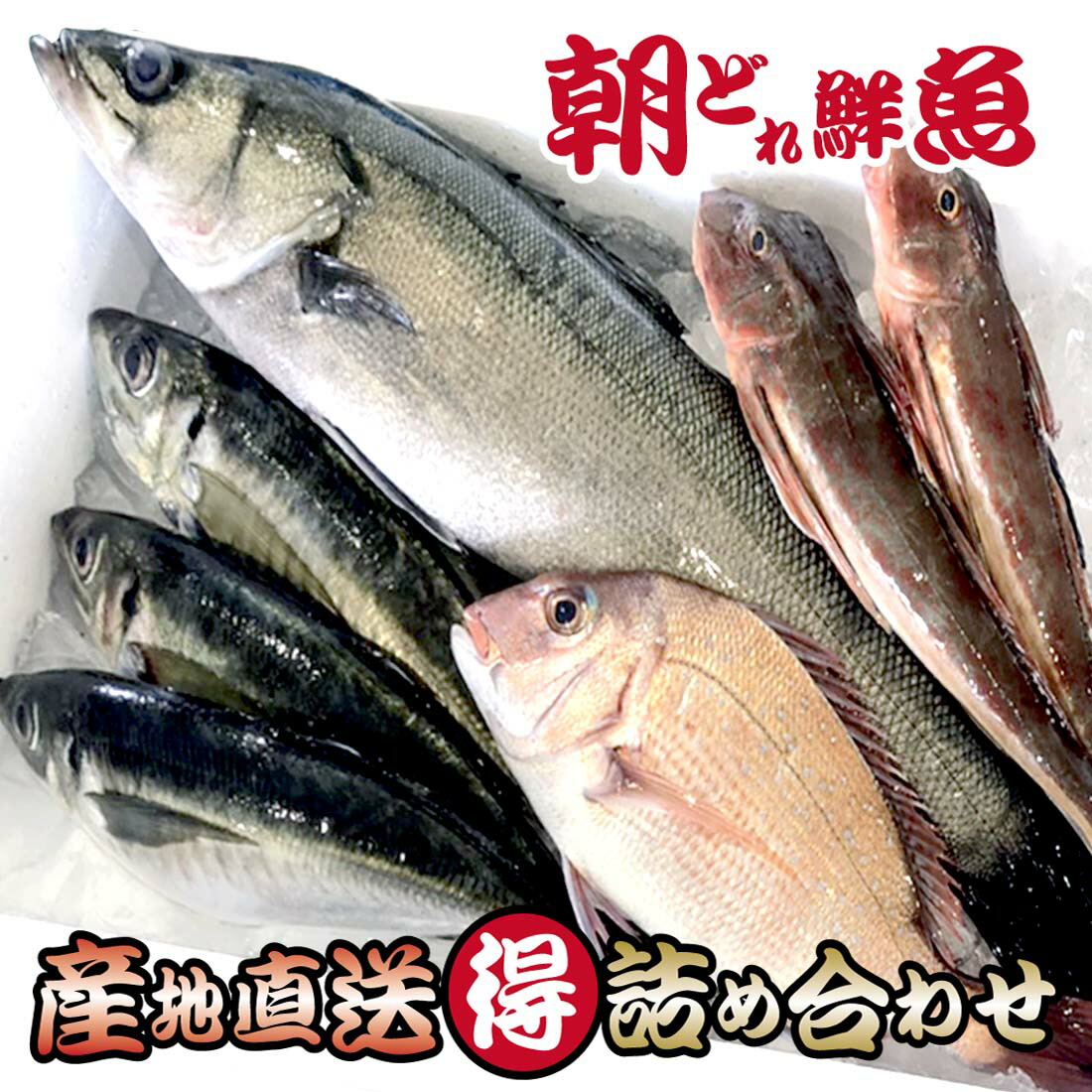 楽天市場 4 5種セット 竹原産 凍眠 新鮮 獲れたて 旬のお魚 詰め合わせ セット ご褒美 おとりよせ お手頃グルメ 宅のみ 家飲み お取り寄せ 鮮魚詰め合わせ 瀬戸内 タイ メバル アコウ キジハタ タコ タモリ イカ マダコ カサゴ オコゼ など 広島ギフトいちばん屋