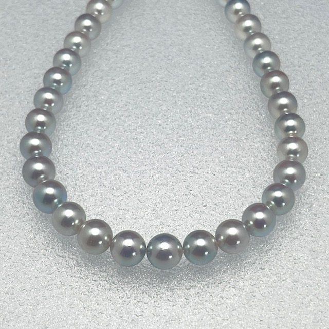 楽天市場】あこや真珠 7mmサイズ【オーロラ Blue Rose 真珠科学研究所