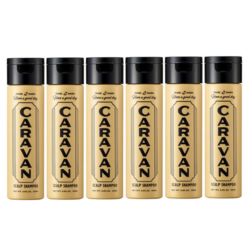 デミ 隊商 スカルプシャンプー 250ml【6個仕かける】 美容・コスメ・香水-シャンプー