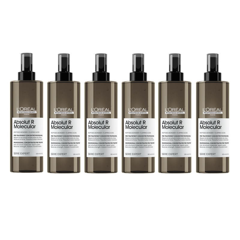 ロレアル プロフェッショナル セリエ エクスパート 　 アブソルート　R　モレキュラー　プレトリートメント　190ml　 ×6点セット 14,122円
