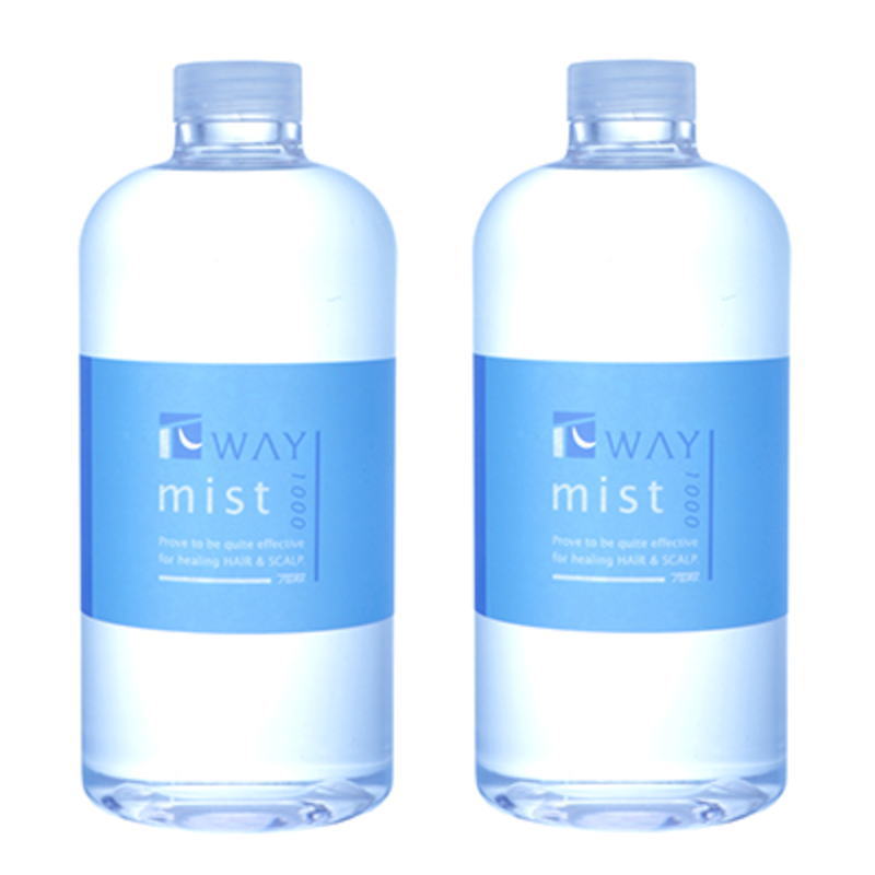 ニューウェイジャパン パイウェイ ミスト エクストラ 1000ml×2点セット