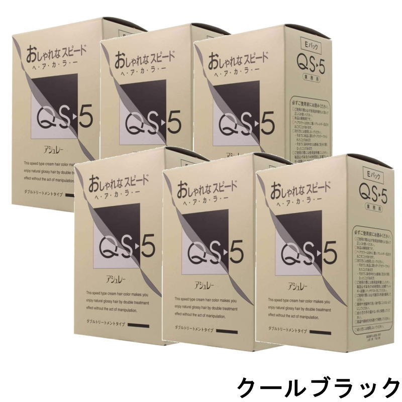 hoyu ホーユー専門的 アシュレー QS-5 クールブラック 御勤め用 (1剤/50g×3、2剤/50g×3)×6点書き割り