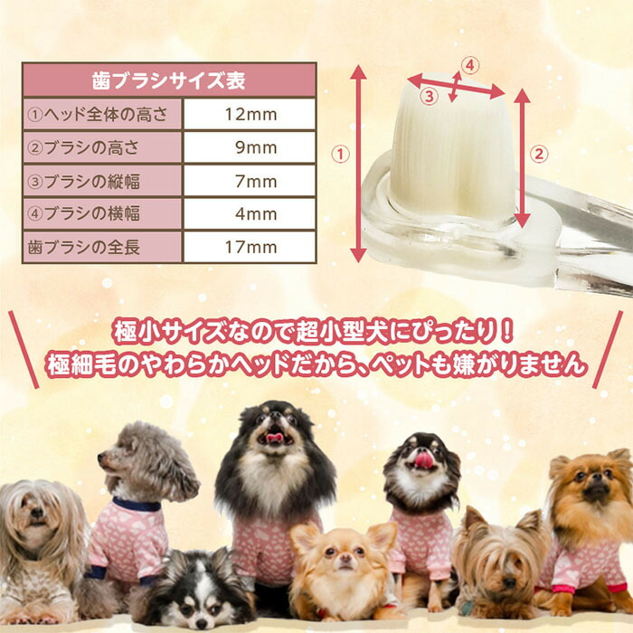 入園入学祝い ペット用歯ブラシ2個セット 猫 犬