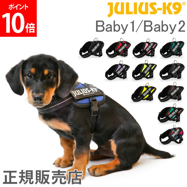 990円 最大71％オフ！ ユリウスケーナイン Julius-K9 IDC パワーハーネス 小型犬 Baby 1 2 胸囲29〜45cm 犬用 ハーネス  犬 散歩 胴輪 ペット Powerharness