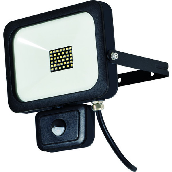日動　ＬＥＤセンサーライト　フラットセンサーライト　３０Ｗ　屋外型　２５００Ｌｍ　（SLSF30W）【日動工業（株）】※代引き決済不可