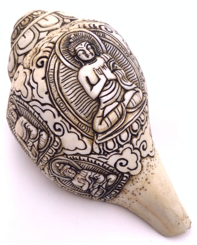 楽天市場】◇チベット密教法具 法螺貝（シャンカ）白傘蓋仏頂